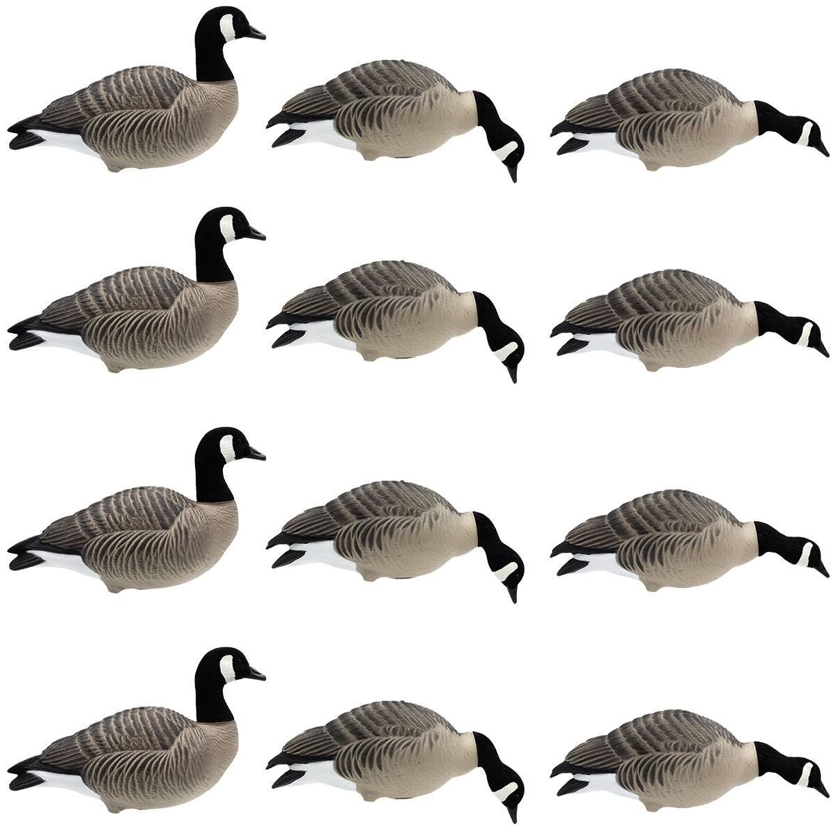 HD Full Body Lesser Canada Geese, 12 Pack Questions & Answers