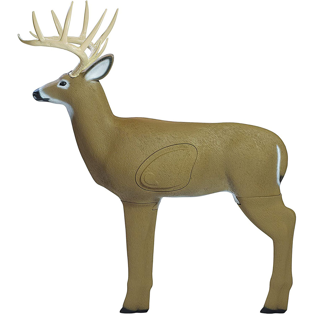 Shooter Buck Crossbow Target Questions & Answers