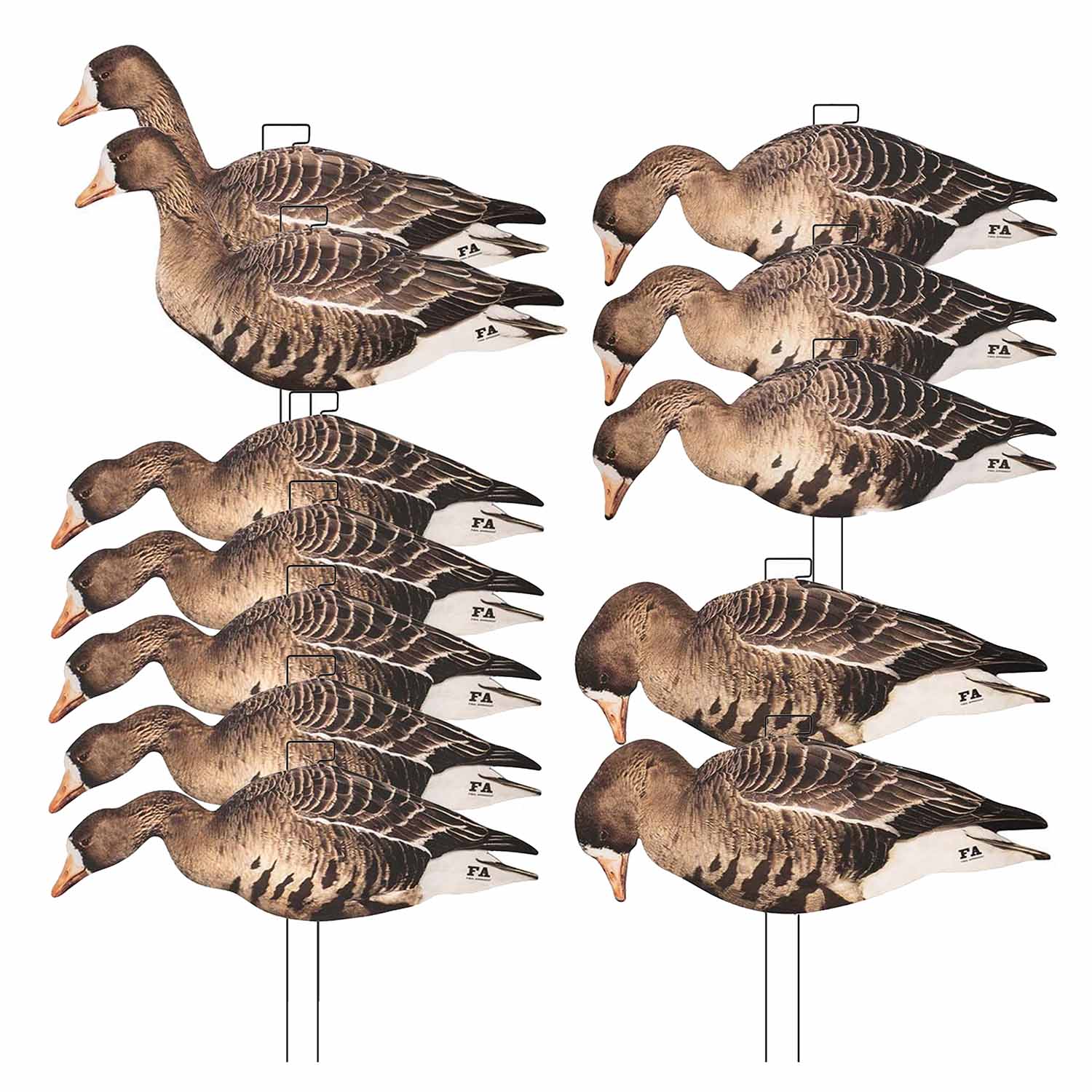 Last Pass Specklebelly Silhouette Decoys, 12 Pack Questions & Answers