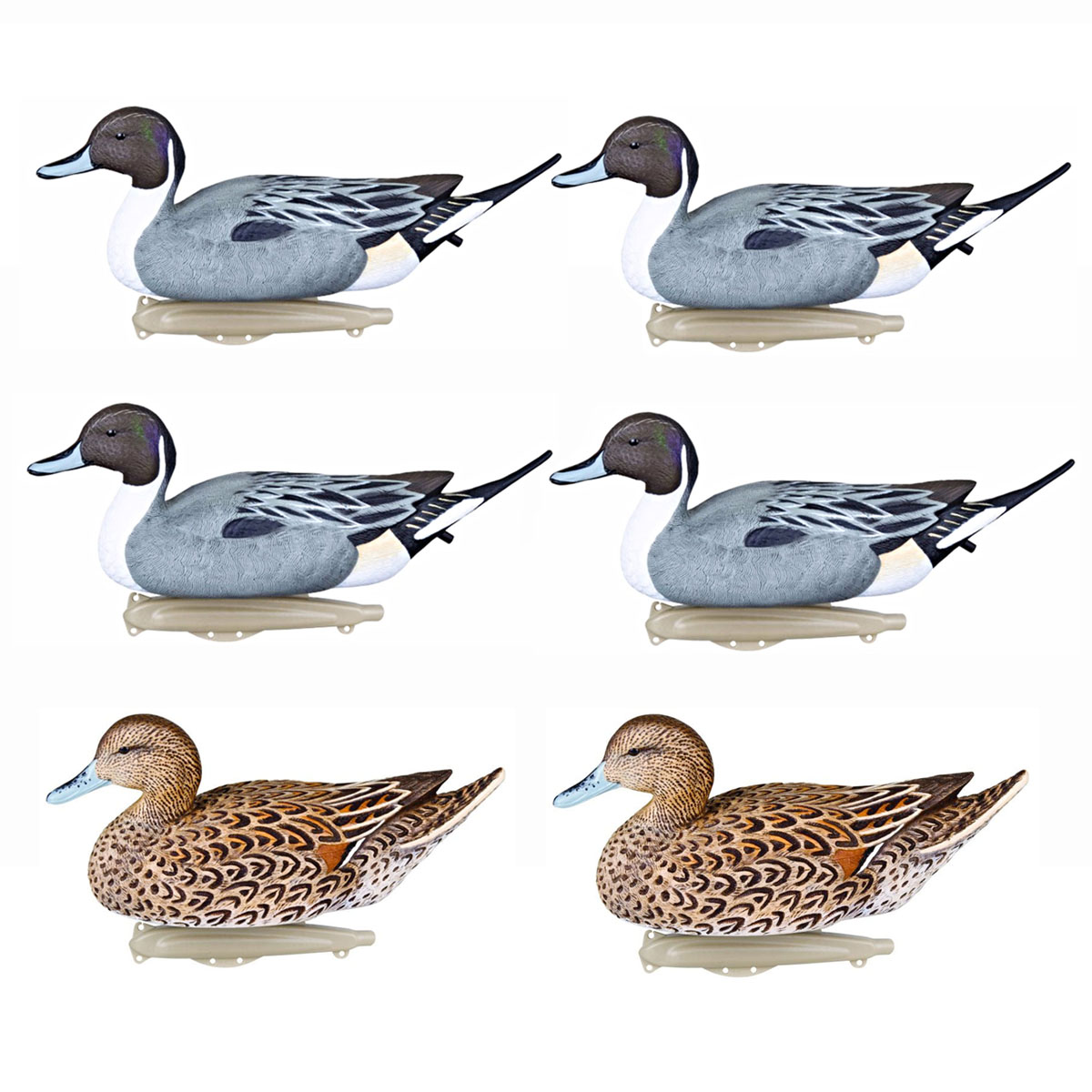 what is the size of the Storm Front pintail decoy